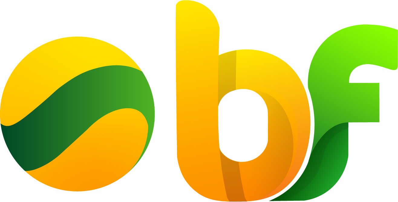 Brasil Digital Logo